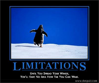 limitations.jpg